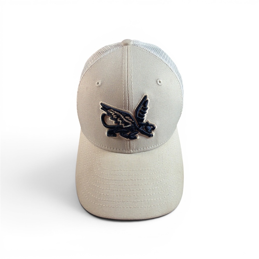 Texas Rangers Peagle Snapback Hat New Era Dallas Eagles Fort Worth Panthers Cap